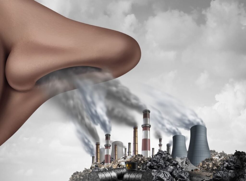 Exposure to Environmental Toxins for Better Liver Health