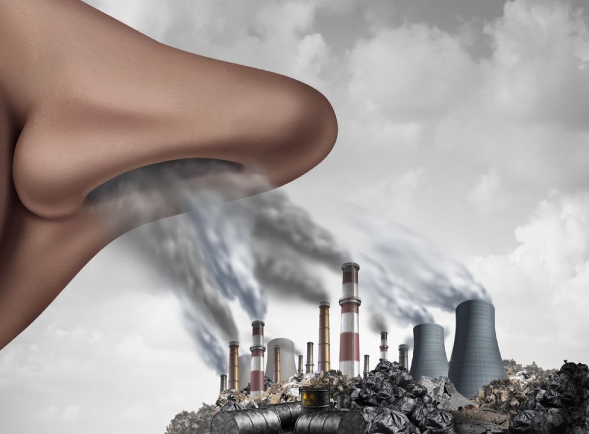 Exposure to Environmental Toxins for Better Liver Health