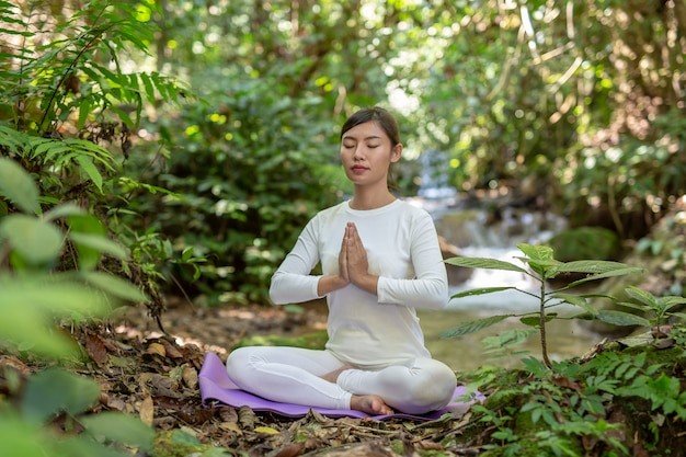 Healthy Liver Yoga and Meditation