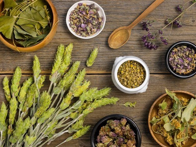 Herbal Remedies for Liver Health with Evidence of Effectiveness