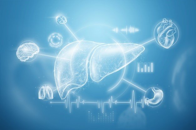 Gut-Liver Axis: How Gut Health Impacts Immune Function and Liver Health