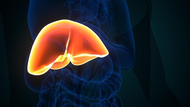 Psychological Factors Have on Liver Health