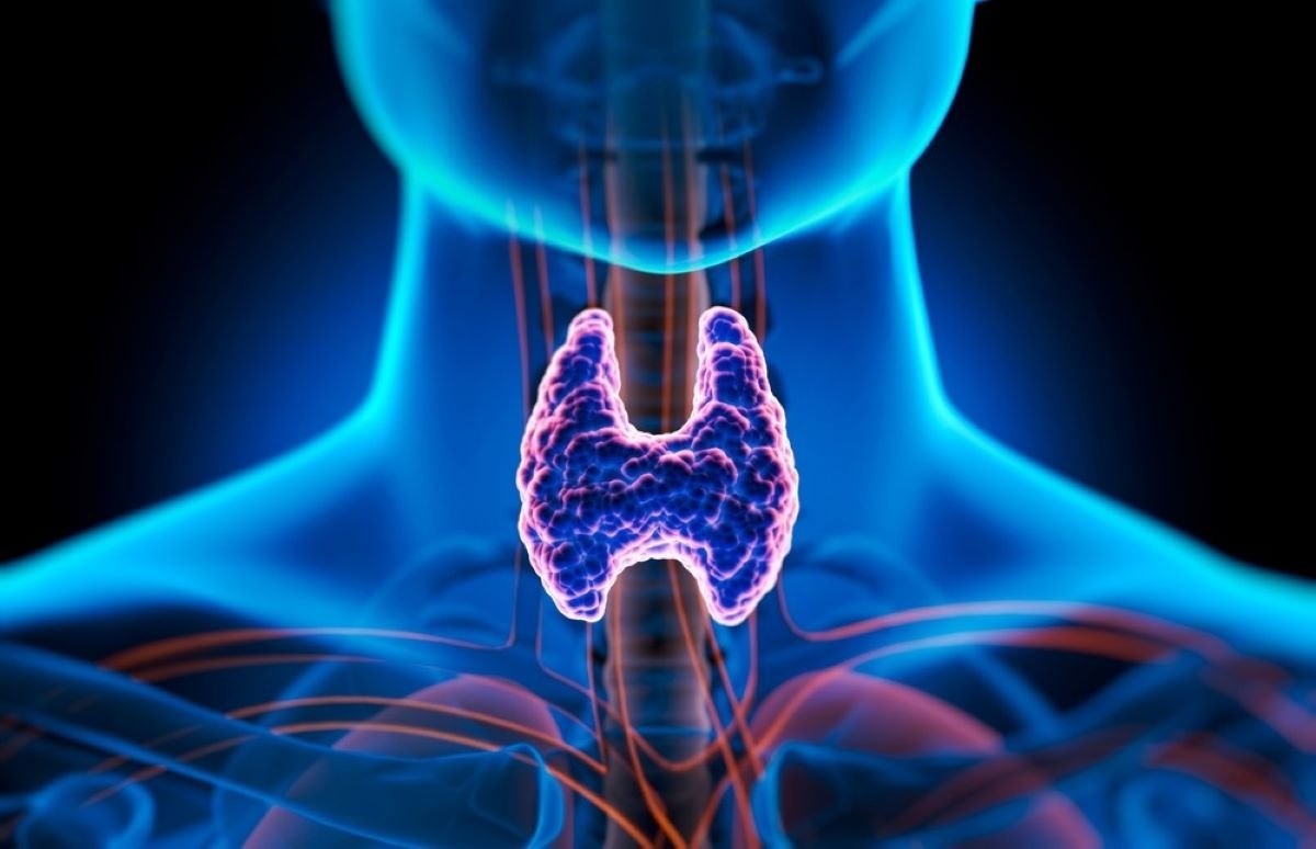 Thyroid Disorder Affect Liver Health